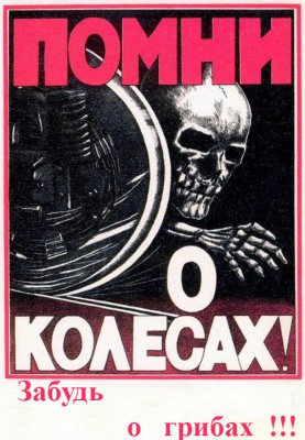 kolesa_3.jpg