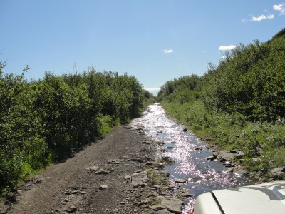 DSC07769.JPG (4.18 МБ) Просмотров: 6353 DSC07769.JPG