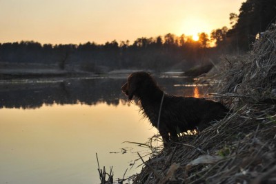 DSC_0246_1.jpg (100.22 КБ) Просмотров: 4627 DSC_0246_1.jpg