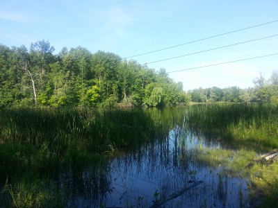 20140706_082105.jpg