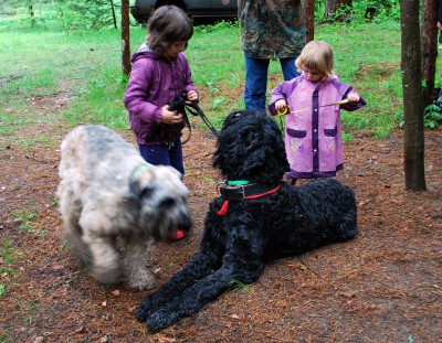 Женские-дети-Петрова.jpg (1.31 МБ) Просмотров: 6094 Женские-дети-Петрова.jpg