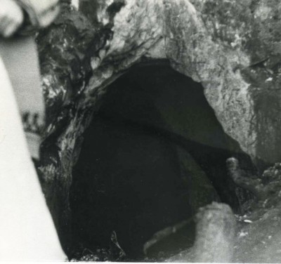 img064_1.jpg (193.09 КБ) Просмотров: 4663 img064_1.jpg