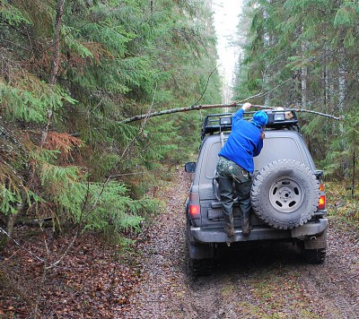 DSC_1073_3.jpg (364.58 КБ) Просмотров: 4240 DSC_1073_3.jpg
