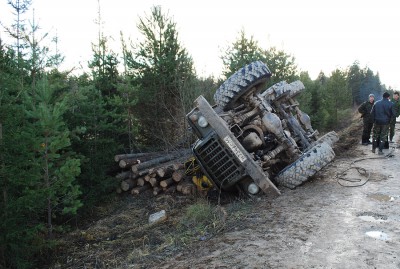 DSC_0371_3.jpg (253.1 КБ) Просмотров: 4238 DSC_0371_3.jpg