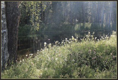 01_IMG_3908.JPG (367.83 КБ) Просмотров: 7680 01_IMG_3908.JPG