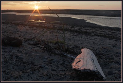 08_IMG_4287.JPG (216.6 КБ) Просмотров: 7680 08_IMG_4287.JPG