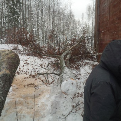 IMG-20160223-WA0014.jpg (494.89 КБ) Просмотров: 2958 IMG-20160223-WA0014.jpg