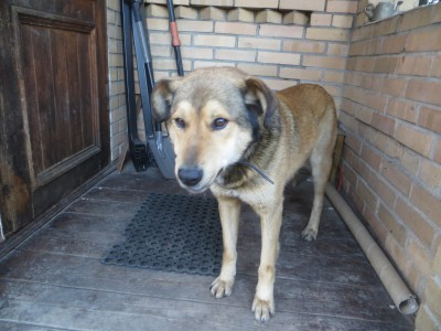 IMG_9441.JPG (2.53 МБ) Просмотров: 4967 IMG_9441.JPG